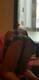 Foto privada de Maya_75
