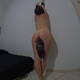 Foto privada de Patatina_succosa